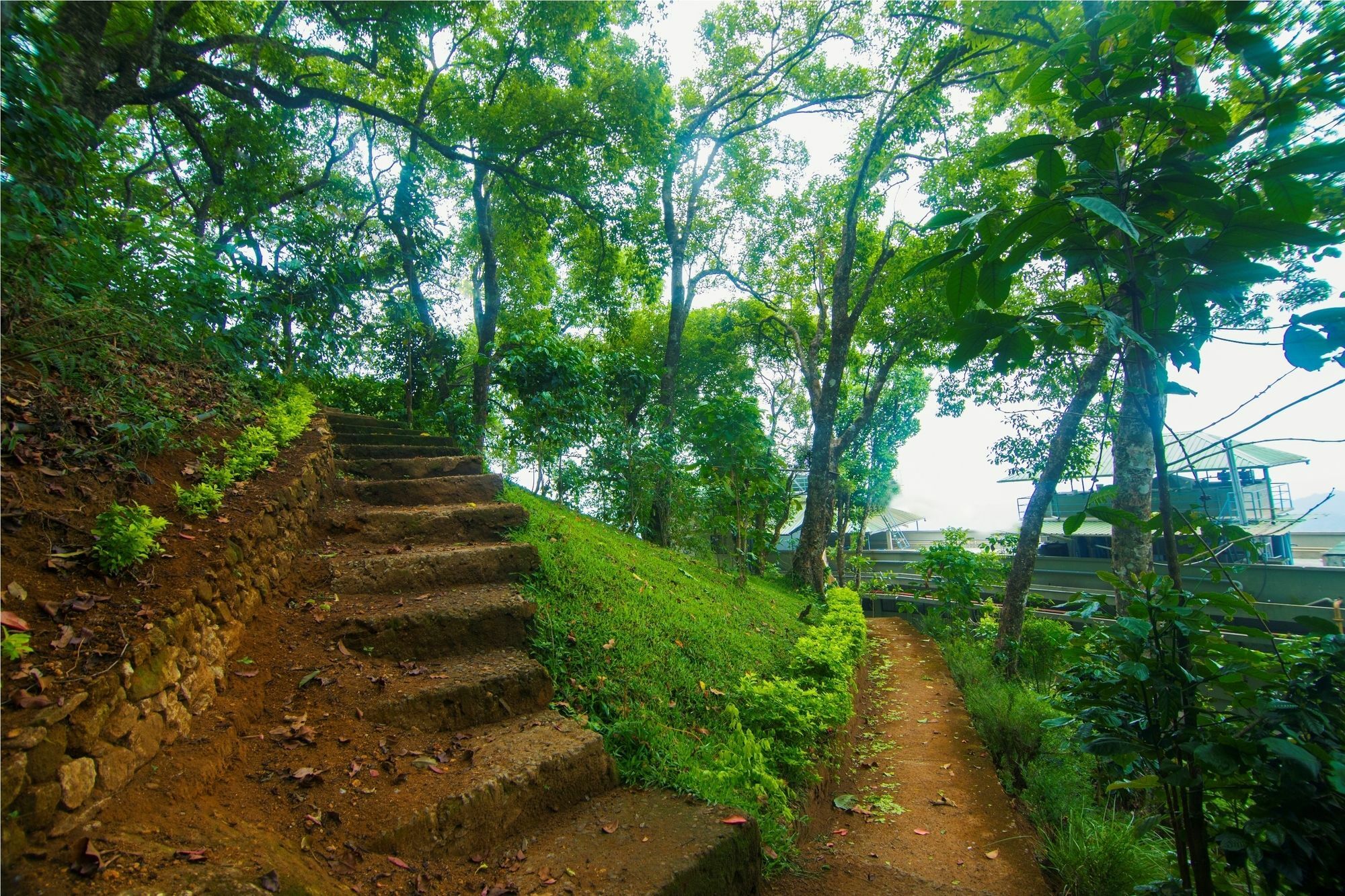 Forest Glade Resorts Chithirapuram Eksteriør billede