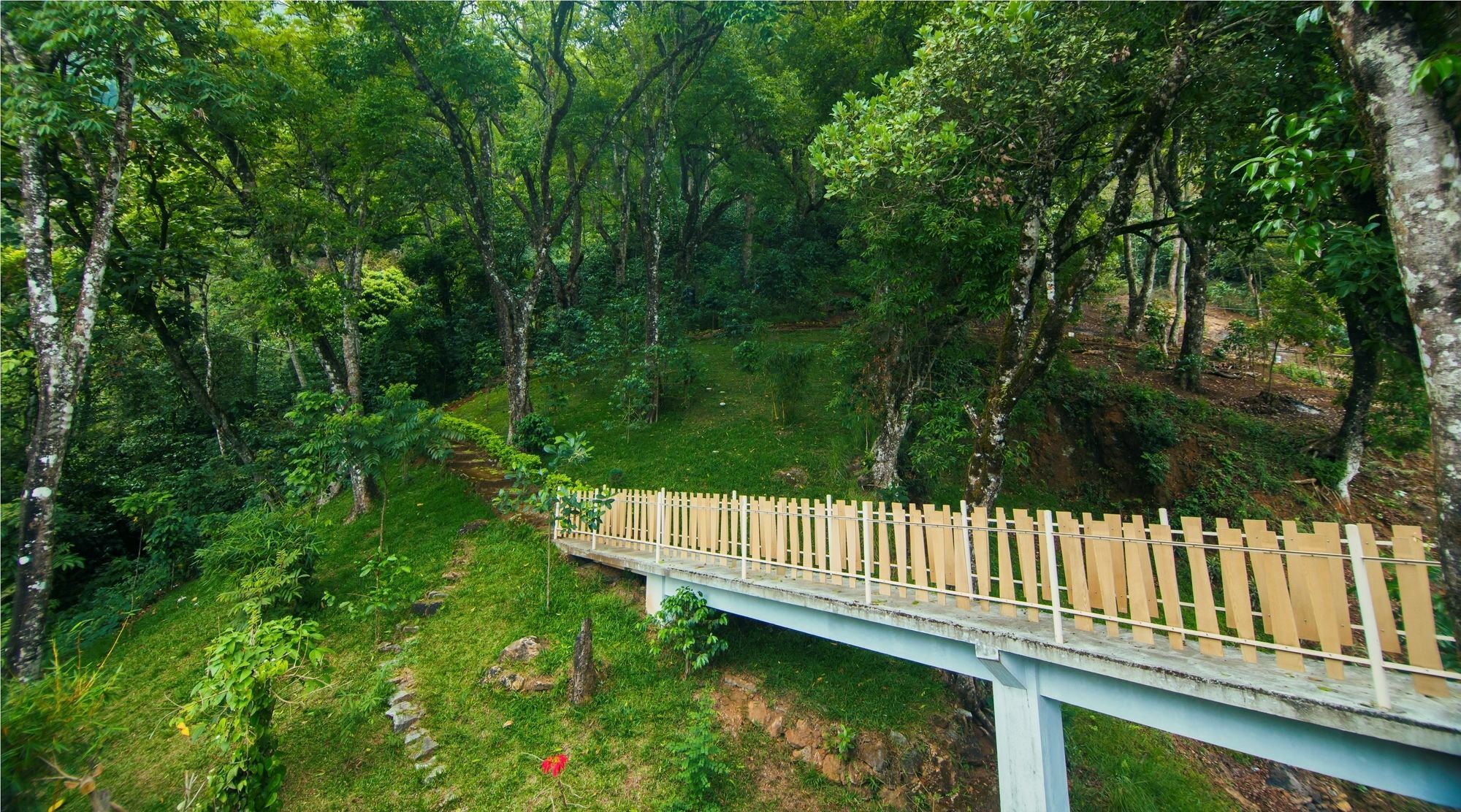 Forest Glade Resorts Chithirapuram Eksteriør billede